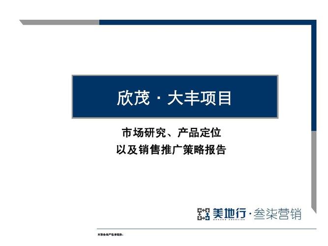 成都大丰项目策划定位报告